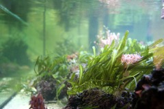 Killikus&reg; Fotographie